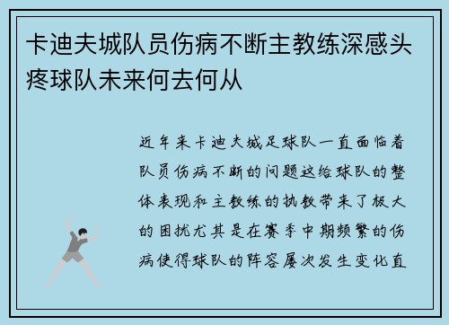 卡迪夫城队员伤病不断主教练深感头疼球队未来何去何从